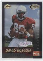 Rookie - David Boston