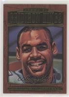 Donovan McNabb #/500