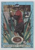 Donovan McNabb #/50