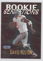 David Boston