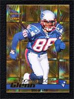 Terry Glenn #206/480