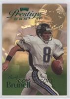 Mark Brunell #/500