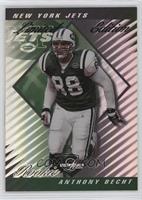 Rookie - Anthony Becht #/50