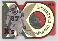 Muhsin Muhammad #/43