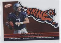 Jon Kitna #/310