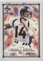 Brian Griese #/75