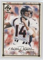 Brian Griese #/49