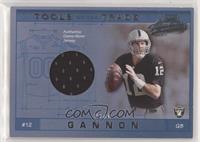 Rich Gannon [EX to NM] #/300