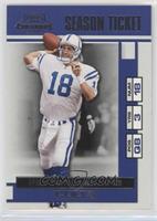 Season Ticket - Peyton Manning