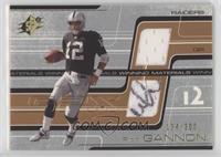 Rich Gannon #/300