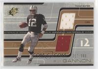 Rich Gannon [EX to NM] #/300