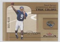 True Colors - David Garrard #/100