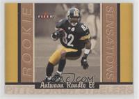 Antwaan Randle El #/1,250