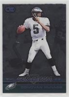 Donovan McNabb #/210