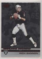 Rich Gannon #/65