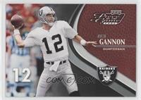 Rich Gannon