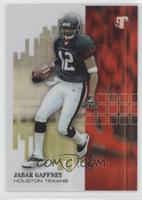 Jabar Gaffney #/499