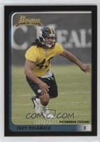 Troy Polamalu