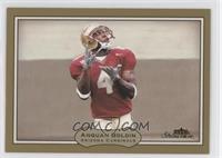 Anquan Boldin #/125