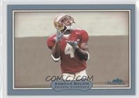 Anquan Boldin #/750