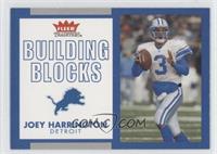 Building Blocks - Joey Harrington