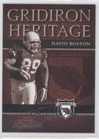 David Boston