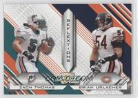 Zach Thomas, Brian Urlacher