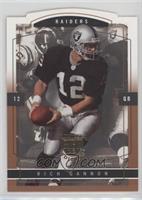 Rich Gannon #/25