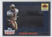 Anquan Boldin