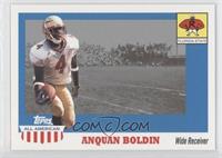 Anquan Boldin