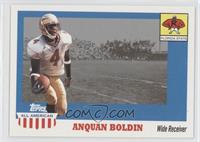 Anquan Boldin