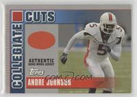 Andre Johnson