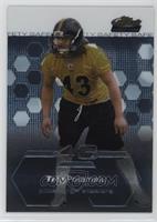 Troy Polamalu