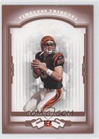 Carson Palmer #/100