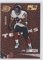 Andre Johnson #/250