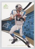 Jake Delhomme #/100