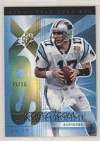 Jake Delhomme #/25