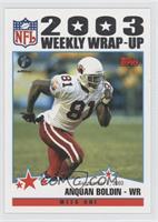 2003 Weekly Wrap-Up - Anquan Boldin