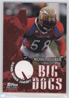 Michael Boulware #/100