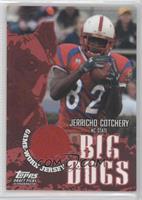 Jerricho Cotchery