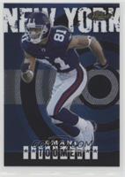 Amani Toomer