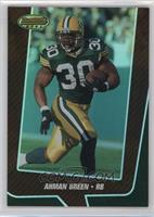 Ahman Green #/199