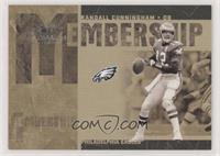 Randall Cunningham #/500