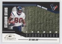 Andre Johnson #/250