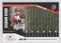 Carson Palmer #/750