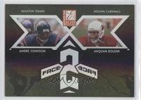 Andre Johnson, Anquan Boldin #/500