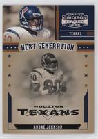 Andre Johnson [EX to NM] #/250