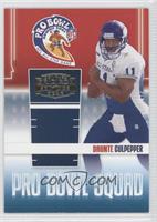 Daunte Culpepper #/1,000