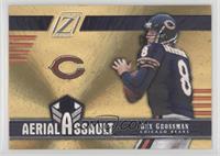 Rex Grossman #/100