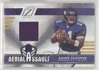 Daunte Culpepper #/250